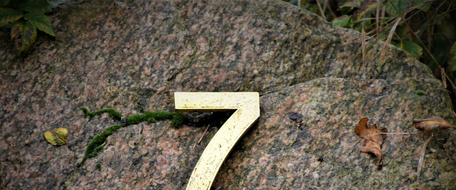 A Comprehensive Guide to Dividing Single-Digit Numbers